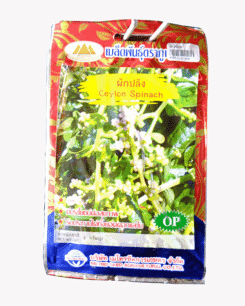 ผักปลัง