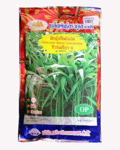 ผักบุ้ง