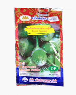 มะเขือเปราะ