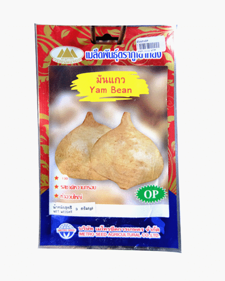 เมล็ดพันธุ์มันแกว-Yam-Bean-ตราภูเขาทอง-หน้าซองแสดงรูปหัวมันแกวสีขาวนวลขนาดใหญ่อวบ-รสชาติหวานกรอบ