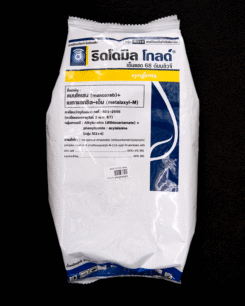 ริดโดมิลโกลด์