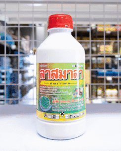 ลาสมาลา