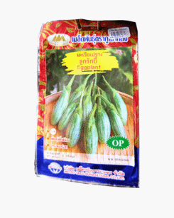 มะเขือเปราะ