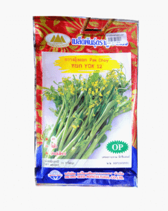 กวางตุ้ง