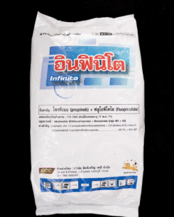 อินฟินิโต