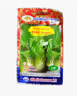 กวางตุ้ง