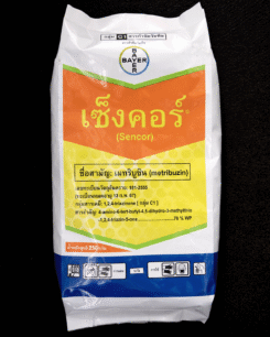 เซ็งคอร์