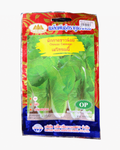 ผักกาดขาว