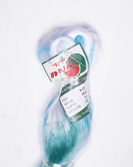 ตาข่ายเอ็น2