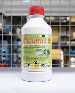 ลาสเมทริน