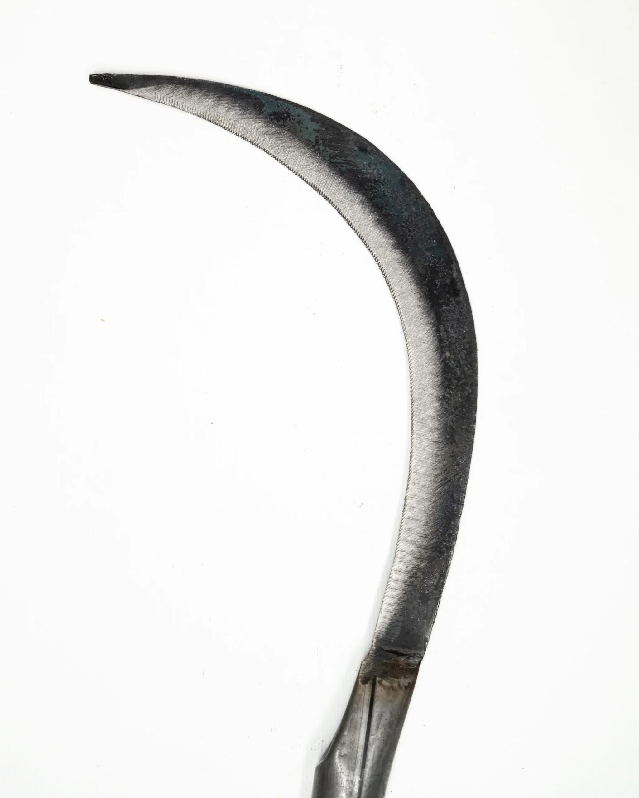 เคียวเกี่ยวข้าว เคียวตัดหญ้า เหล็กกล้าคมกริบ งานตีมือทนทาน จับถนัดมือ สำหรับงานเกษตรและเก็บเกี่ยว - Image 3