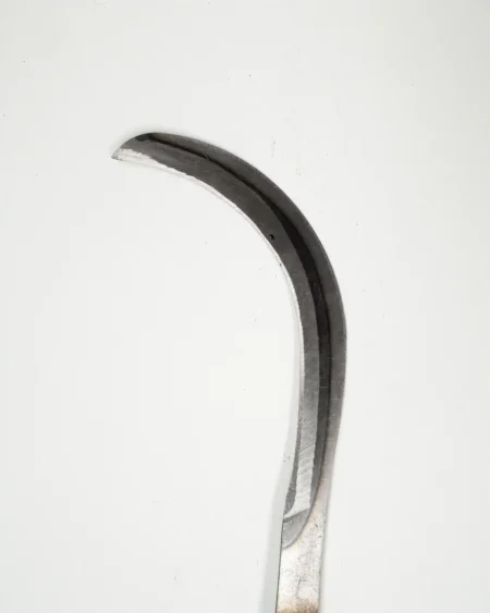 เคี้ยวแมกานีสยาว1