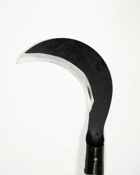 เคี้ยวแมงกานีสใหญ่1