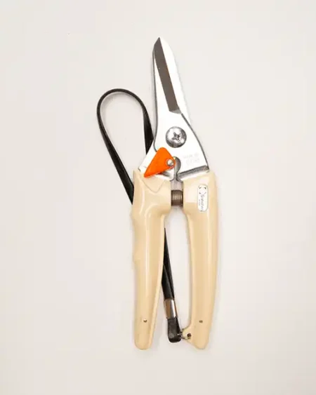 กรรไกรตัดก้ามปู