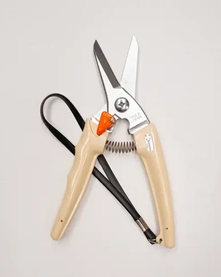 กรรไกรตัดก้ามปู2