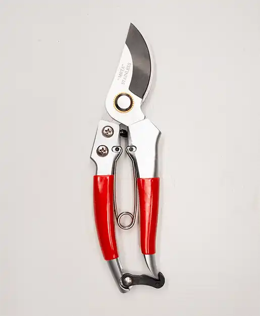 กรรไกรตัดกิ่ง META รุ่น S-101 ขนาด 8 นิ้ว ใบมีดสแตนเลส (Stainless Steel) คมกริบ ไม่เป็นสนิม แข็งแรงทนทาน - Image 3