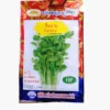ซองเมล็ดพันธุ์ขึ้นฉ่าย-Celery-ตราภูเขาทอง-หน้าซองแสดงรูปกอขึ้นฉ่ายใบสีเขียวสดก้านยาวเรียวสวย-กลิ่นหอม-ปรุงอาหารดี