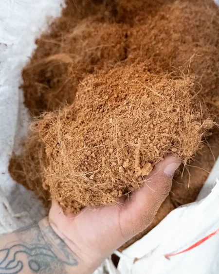 ขุยมะพร้าวหยาบ