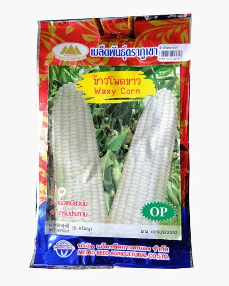 ซองเมล็ดพันธุ์ข้าวโพดขาว-Waxy-Corn-ตราภูเขาทอง-หน้าซองแสดงรูปฝักข้าวโพดเมล็ดสีขาวนวลสะอาด-ฝักใหญ่-เนื้อเหนียวนุ่ม-น่ารับประทาน