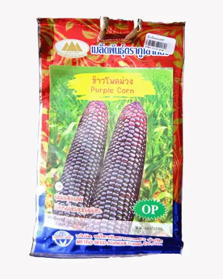 ซองเมล็ดพันธุ์ข้าวโพดม่วง-Purple-Corn-ตราภูเขาทอง-หน้าซองแสดงรูปฝักข้าวโพดเมล็ดสีม่วงเข้มเงางาม-ฝักใหญ่-ดีต่อสุขภาพ-มีสารต้านอนุมูลอิสระ