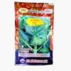 ซองเมล็ดพันธุ์คะน้าใบ-Chinese-Kale-ตราภูเขาทอง-หน้าซองแสดงรูปต้นคะน้าใบใหญ่สีเขียวเข้มหนาน่ารับประทาน-เจริญเติบโตสม่ำเสมอ