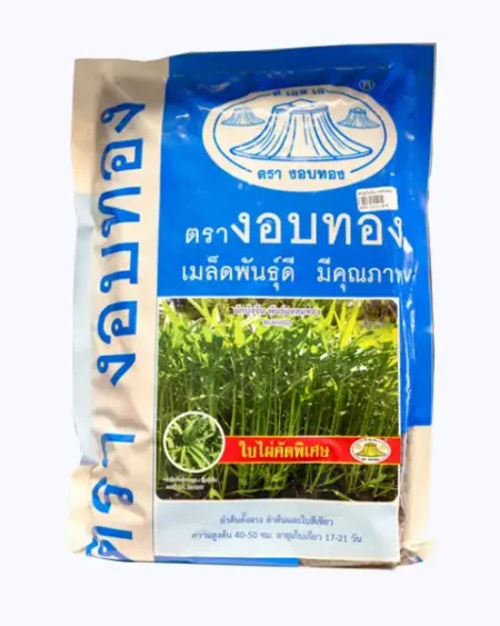 ผักบุ้งใบไผ่