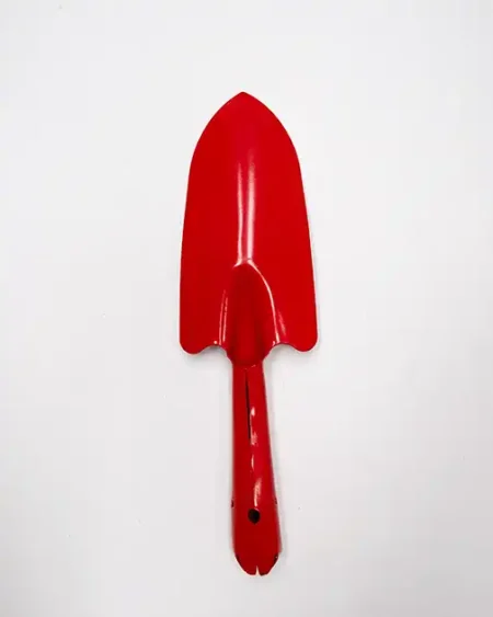 ช้อนปลูก1