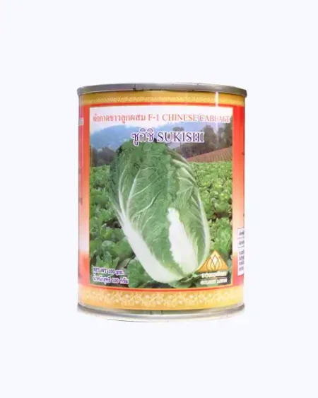 ผักกาดขาว