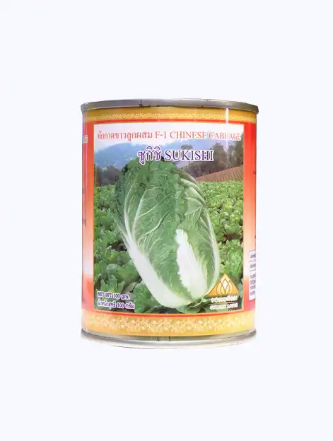 ผักกาดขาว