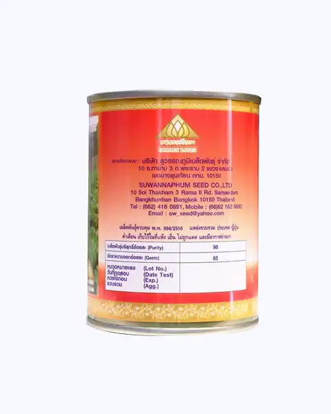 ผักกาดขาวลูกผสม F1 ซูกิชิ SUKISHI หัวใหญ่ ห่อแน่น น้ำหนักดี - Image 3