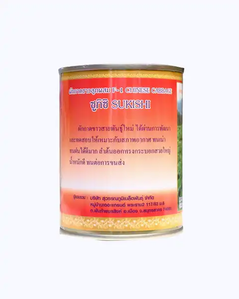 ผักกาดขาวลูกผสม F1 ซูกิชิ SUKISHI หัวใหญ่ ห่อแน่น น้ำหนักดี - Image 4