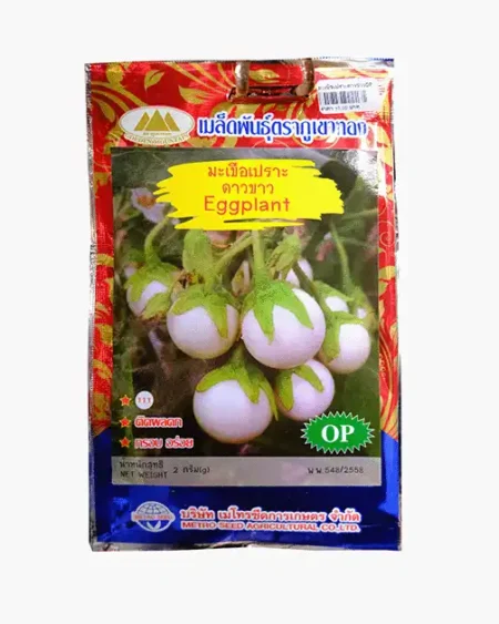 เมล็ดพันธุ์มะเขือเปราะ-ดาวขาว-Eggplant-ตราภูเขาทอง-หน้าซองแสดงรูปผลมะเขือทรงกลมสีขาวบริสุทธิ์-ติดผลดกสวยงามน่ารับประทาน
