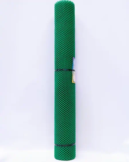 ตาข่ายเขียว 1