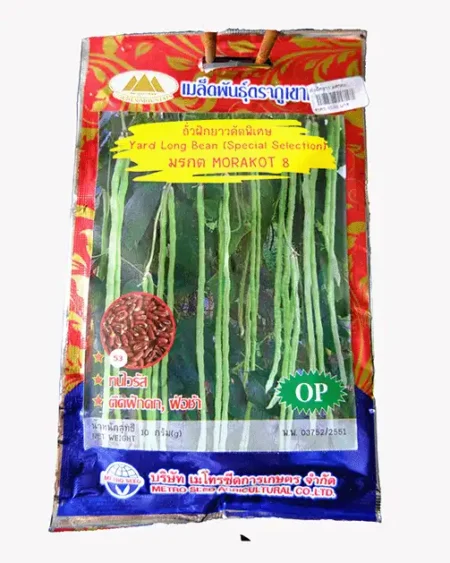 เมล็ดพันธุ์ถั่วฝักยาวคัดพิเศษ-มรกต-8-Morakot-8-ตราภูเขาทอง-หน้าซองแสดงรูปฝักถั่วสีเขียวเข้มยาวสวย-ติดฝักดกเต็มต้น
