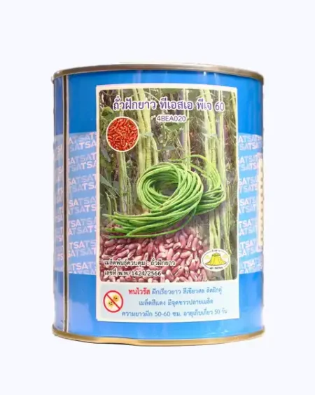 ถั่วฝักยาว