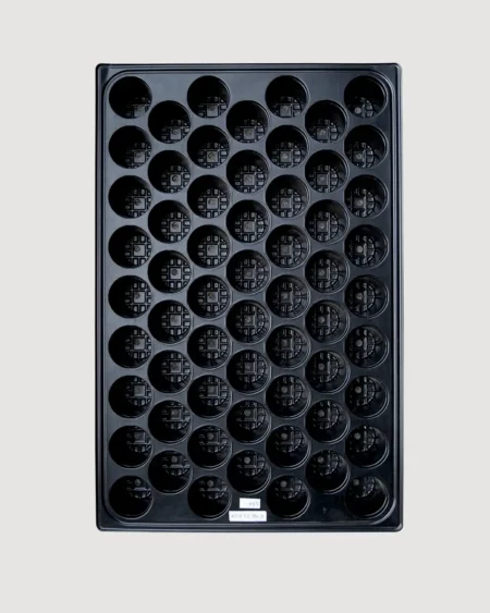 ถาดเพาะ60 หลุมตราแรด