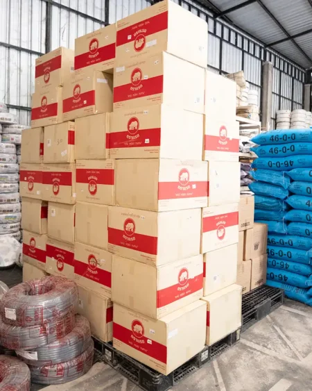 ถาเพาะตราแรด