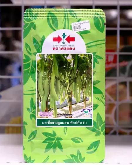 มะเขือยาว