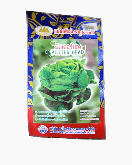 เมล็ดพันธุ์บัตเตอร์เฮด-Butterhead-ตราภูเขาทอง-หน้าซองแสดงรูปผักสลัดใบเขียวสดพุ่มสวย-เมล็ดพันธุ์คุณภาพดี