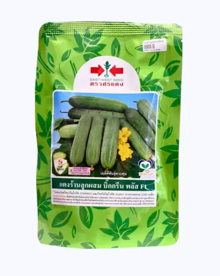 แตงร้าน