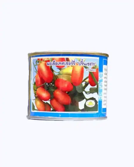 มะเขือเทศ