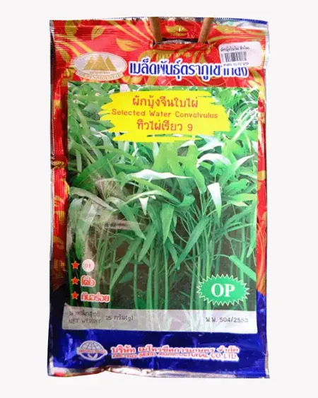 ซองเมล็ดพันธุ์ผักบุ้งจีนใบไผ่-ทิวไผ่เรียว-9-ตราภูเขาทอง-หน้าซองแสดงรูปแปลงผักบุ้งใบเรียวสวยสีเขียวสด-ต้นขาว-โตไว