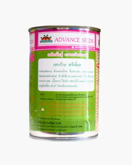 พรีเมี่ยม1