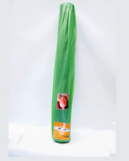 พลาสติกคุมแปลง