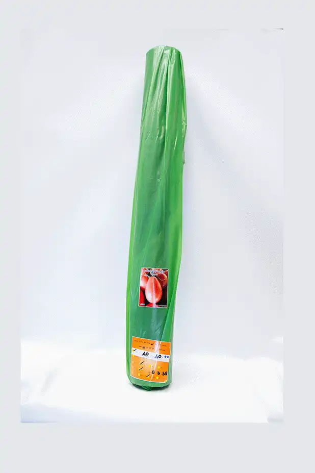 พลาสติกคุมแปลง