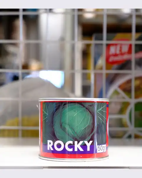 กะหล่ำปลี