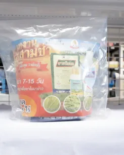 มดงานสามช่า