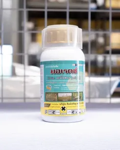 มดงานสามช่า3