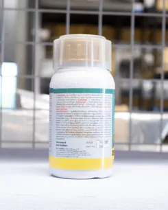 มดงานสามช่า4