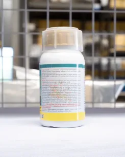 มดงานสามช่า5